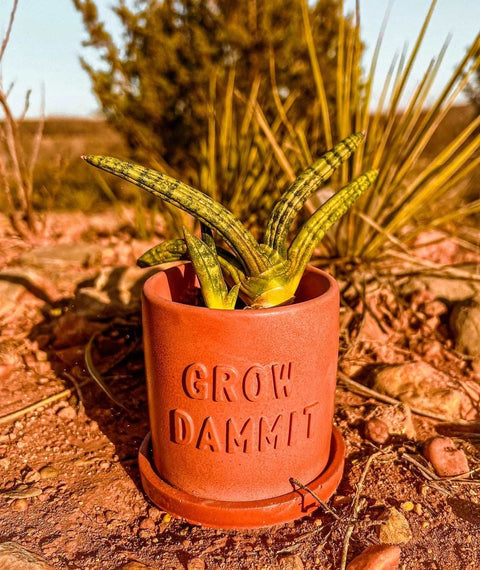 Grow Dammit Concrete Planter-Planters-nikal + dust