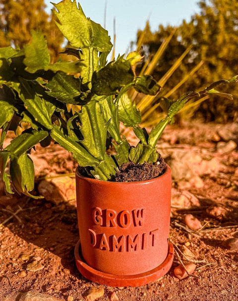 Grow Dammit Concrete Planter-Planters-nikal + dust
