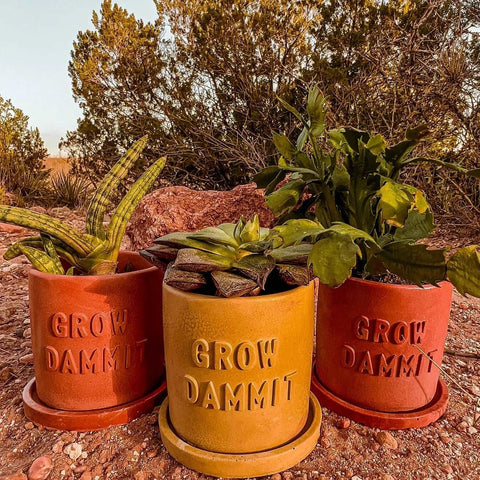 Grow Dammit Concrete Planter-Planters-nikal + dust