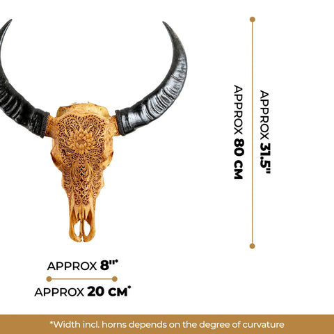Authentic hand-carved Buffalo Skull from Indonesia | Antique Lotus