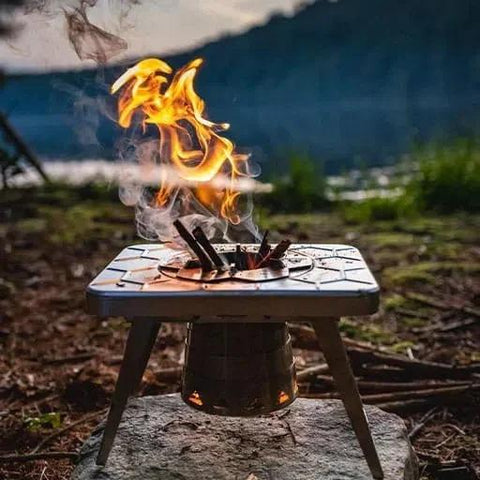 Multi-Fuel Stove-Stoves-nikal + dust