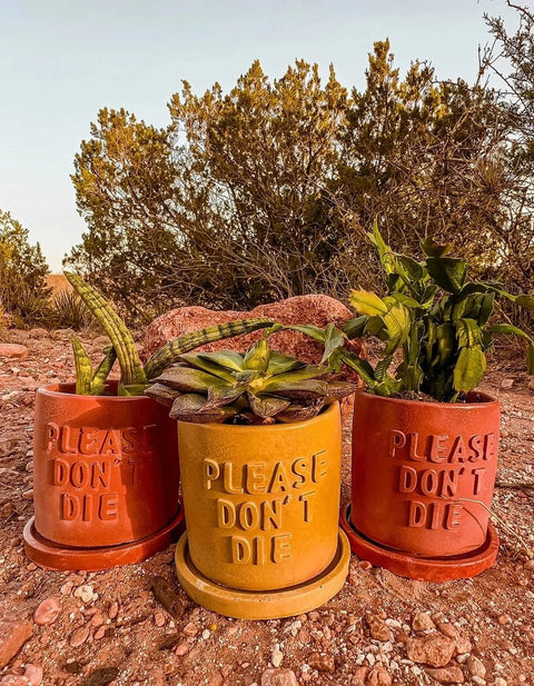 Please Don't Die Concrete Planter-Planters-nikal + dust