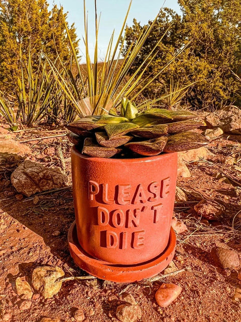 Please Don't Die Concrete Planter-Planters-nikal + dust