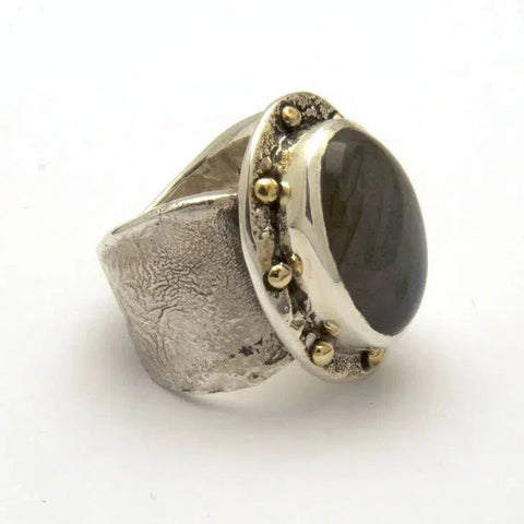 Reticulated Ring-Rings-nikal + dust
