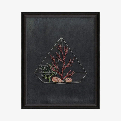 Terrarium Past Recollections Framed/Glass Wall Hanging