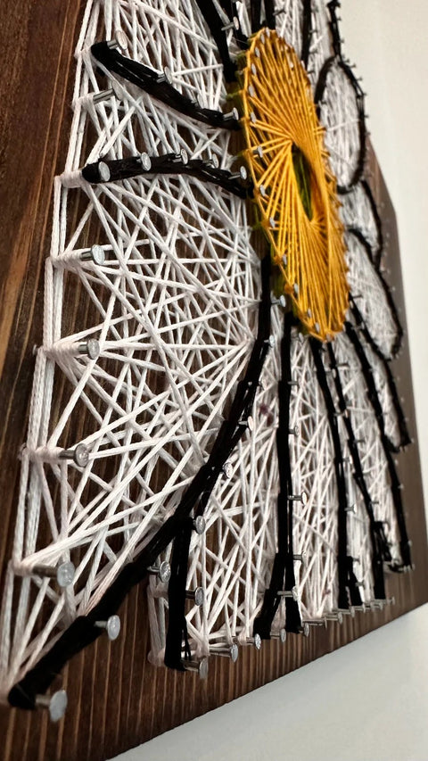 White Daisy stringed on Wood by Lawrence Ross