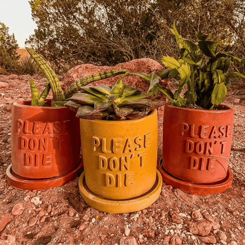 Planters & Pots - nikal + dust
