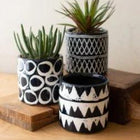 Ceramic Pattern Planters - Set Of 3 Planters