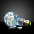 Blue Hydrangea LED Bulb-Lighting-nikal + dust