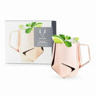 Faceted Moscow Mule Mug-Tumblers-nikal + dust