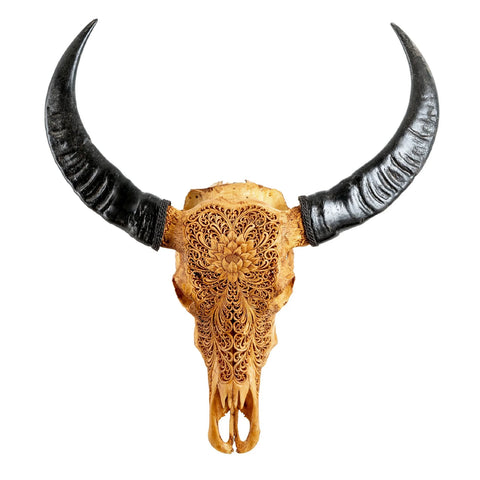 Authentic hand-carved Buffalo Skull from Indonesia | Antique Lotus