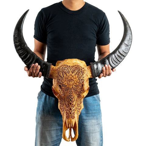 Authentic hand-carved Buffalo Skull from Indonesia | Antique Lotus