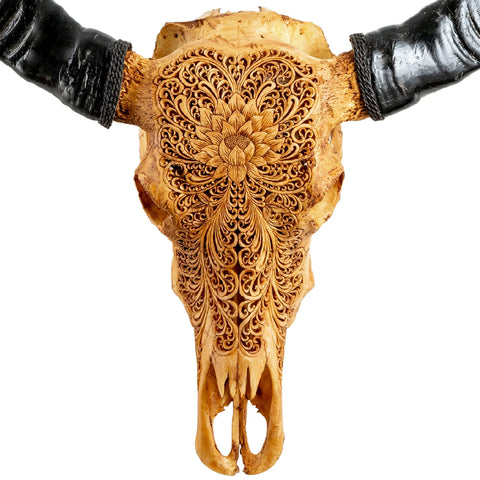 Authentic hand-carved Buffalo Skull from Indonesia | Antique Lotus