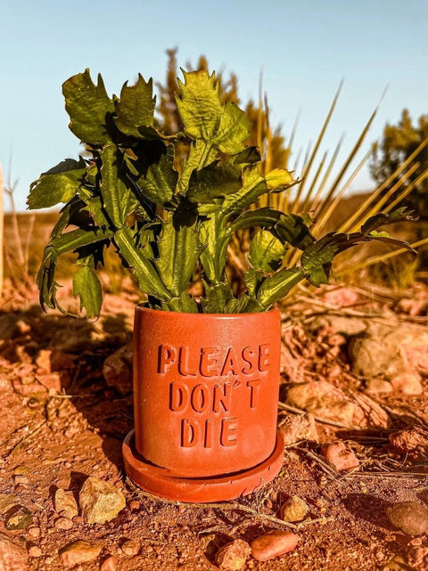 Please Don't Die Concrete Planter-Planters-nikal + dust