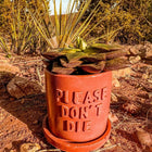 Please Don't Die Concrete Planter-Planters-nikal + dust