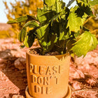 Please Don't Die Concrete Planter-Planters-nikal + dust
