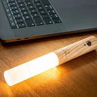 Smart Baton Light-Lighting-nikal + dust